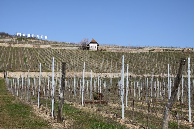 2014 Elsass, Frankreich, Weinreise